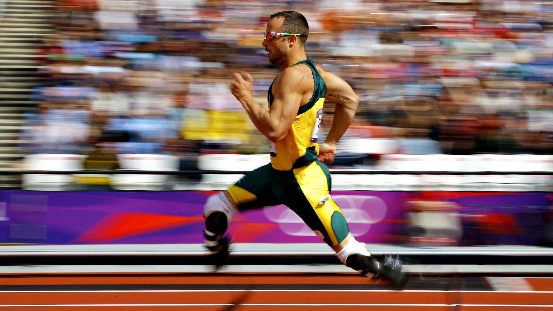 排球赛场焦点!日本队对阵阿根廷队,历史性突破,球队首次挺进决赛